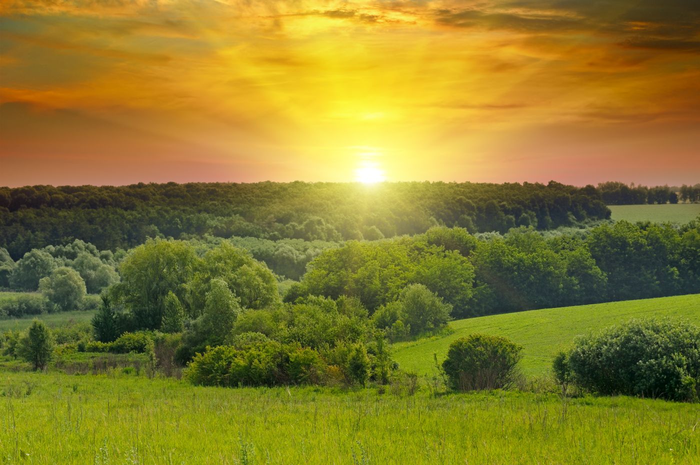 Sonnenaufgang - ein Symbol für die nutzbare Energie der Sonne